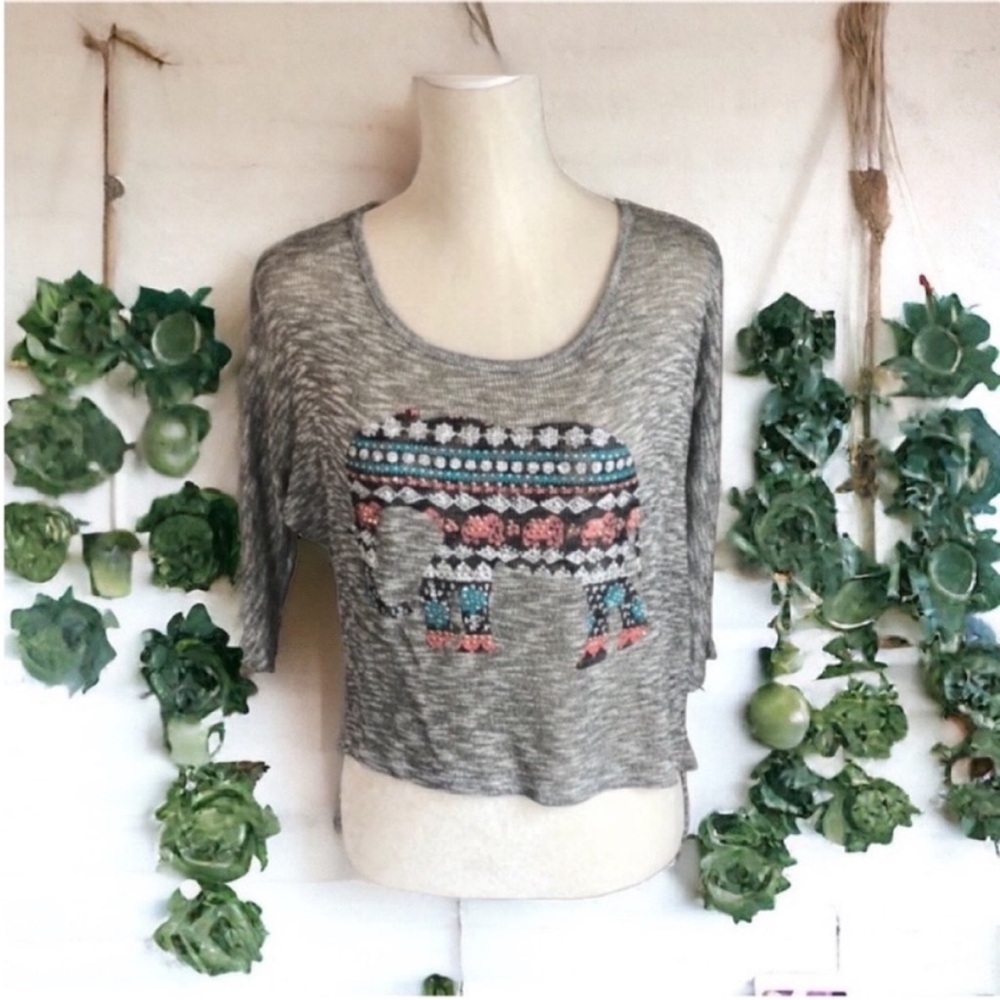 Charlotte Russe Elephant Design Hi-Low Crop Top